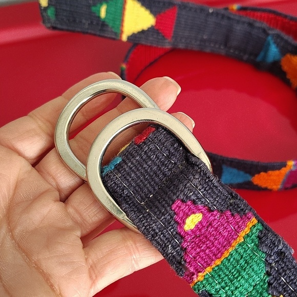 A Tail We Could Wag Multicolor Embroidered Belt Adjustable main image 4